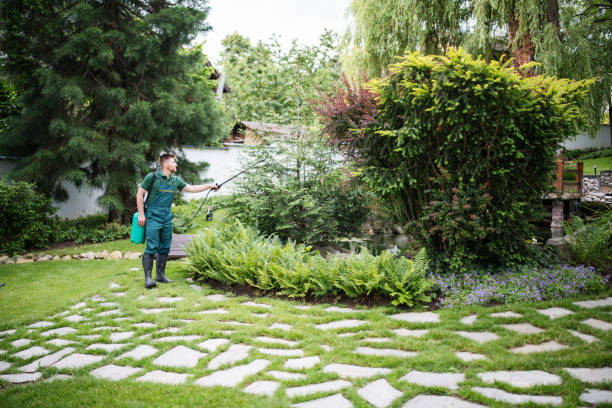 Best Affordable Pest Control Services  in Pearl Beach, MI