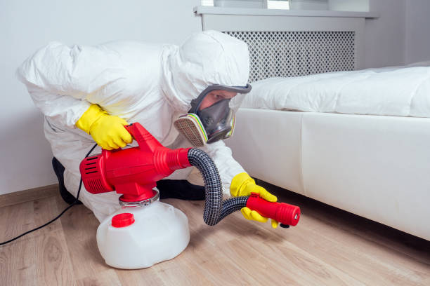 Best Emergency Pest Control  in Pearl Beach, MI