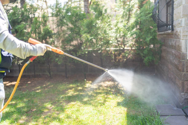 Best Residential Pest Control  in Pearl Beach, MI