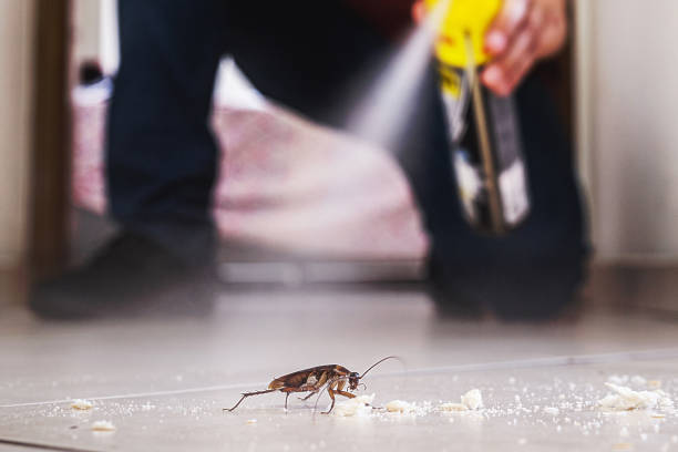 Best Local Pest Control Services  in Pearl Beach, MI