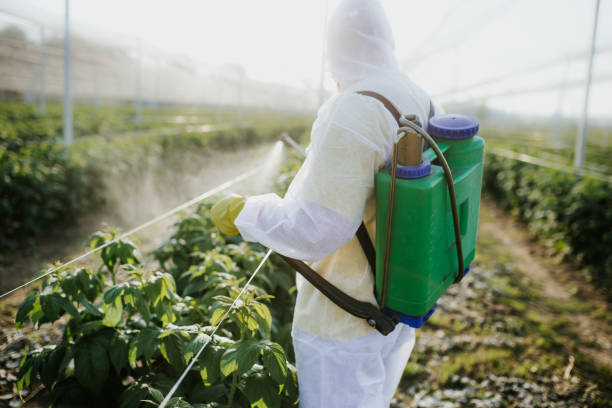 Best Bed Bug Extermination  in Pearl Beach, MI